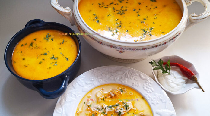 Ciorba Radauteana de Pui – Reteta Pas cu Pas Ciorba Radauteana Reteta Pas cu Pas