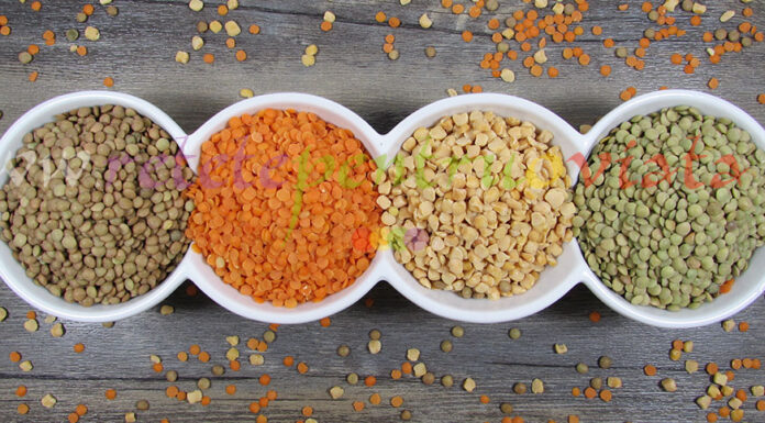 Totul Despre Linte Linte