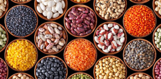 Totul Despre Leguminoase Leguminoase