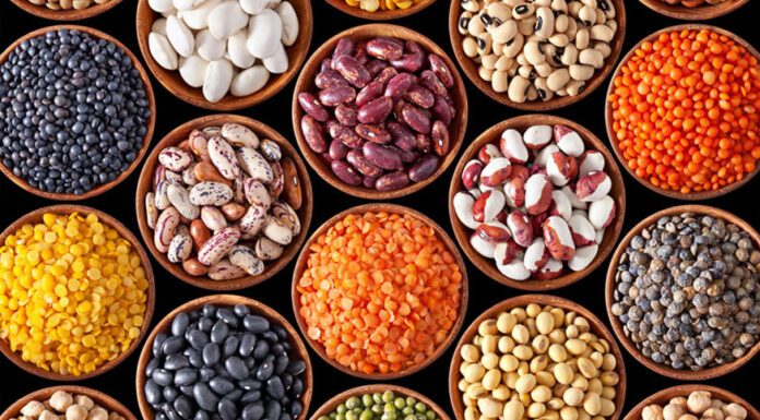 Totul Despre Leguminoase Leguminoase