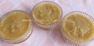 Gem de Mere fara Zahar – Dietetic Gem de Mere fara Zahar -Dietetic