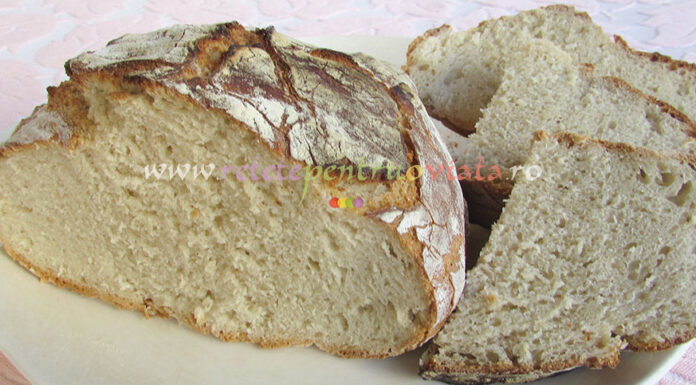 Paine de Casa fara Framantare Paine de Casa fara Framantare poza 14