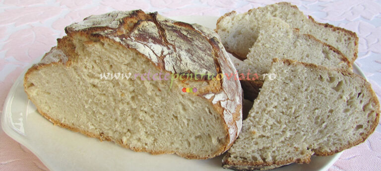 Paine de Casa fara Framantare