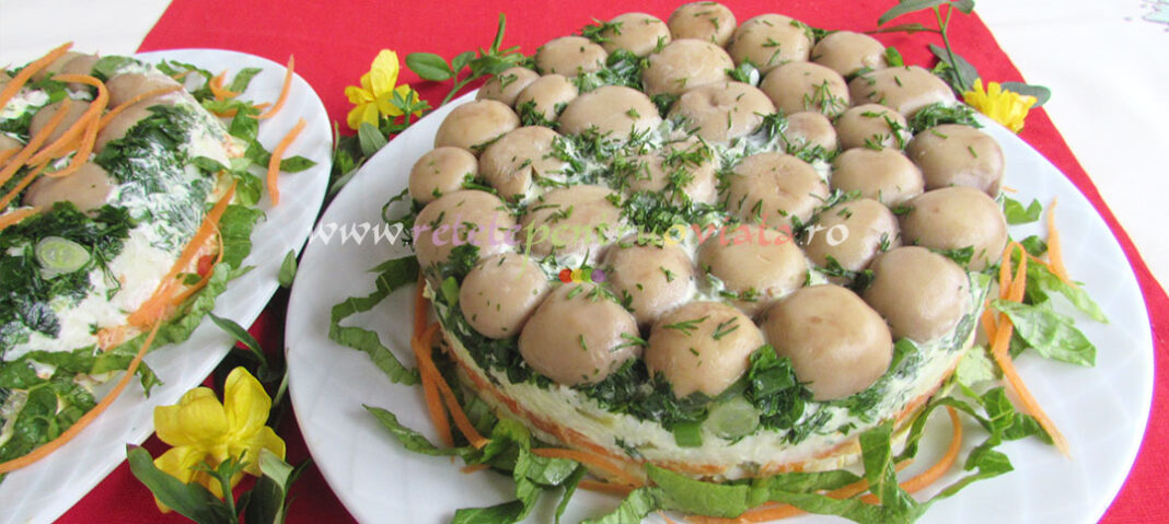 Salata de Pui cu Ciuperci - Salata Poienita