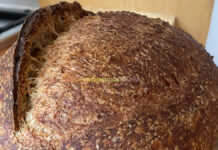 Paine Integrala Paine Integrala