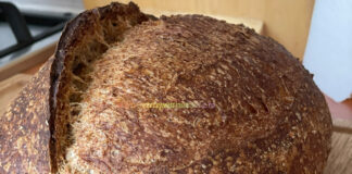 Paine Integrala Paine Integrala