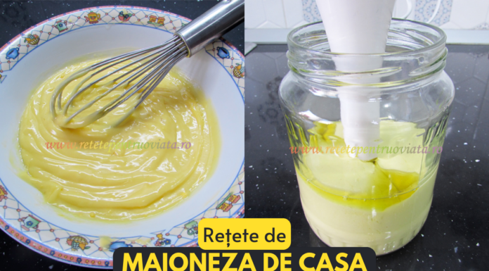 Maioneza de Casa – 2 Retete de Maioneza Simple si Rapide Maioneza de Casa - 2 Retete de Maioneza Simple si Rapide