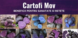 Cartofi Mov (Cartofi Violeti) – Beneficii pentru Sanatate si Retete Cartofi Mov (Cartofi Violeti) - Beneficii pentru Sanatate si Retete