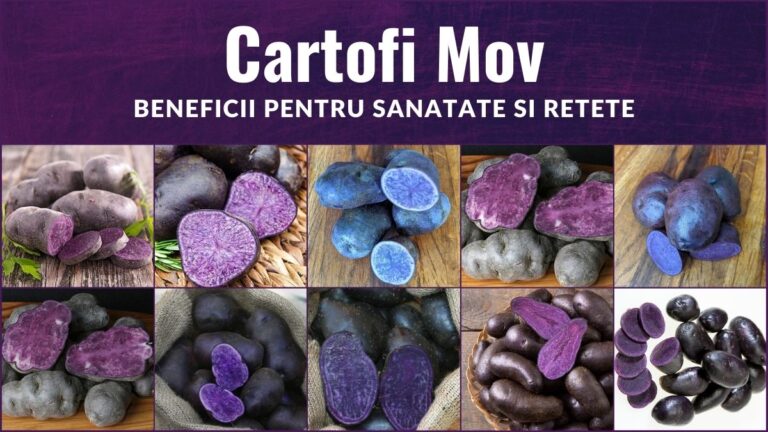 Cartofi Mov (Cartofi Violeti) - Beneficii pentru Sanatate si Retete
