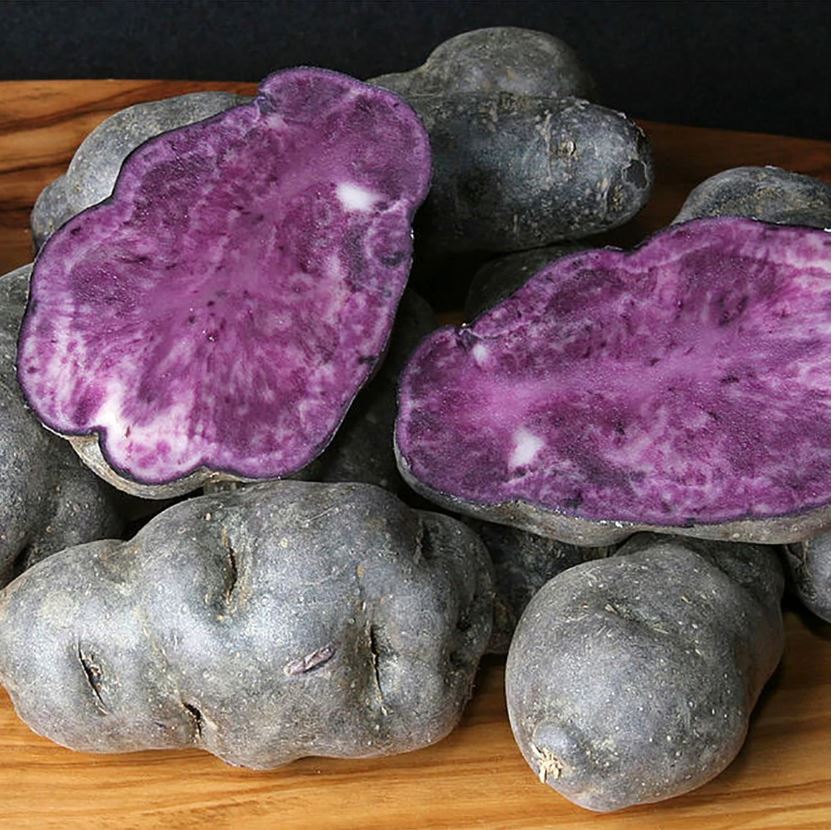 Cartofi mov Purple Congo