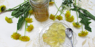 Jeleu de Papadie Jeleu de Papadie