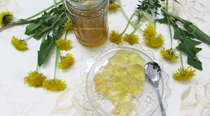 Jeleu de Papadie Jeleu de Papadie