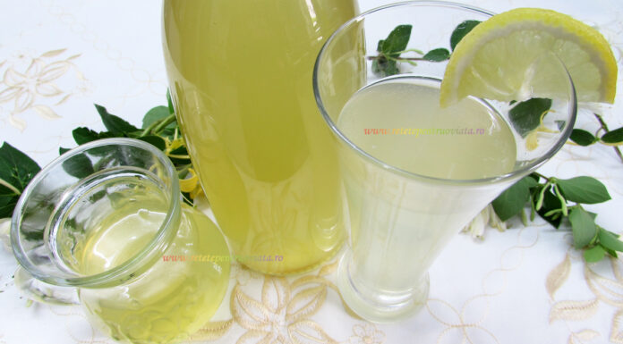 Sirop de Soc la Rece – Sirop din Flori de Soc pentru Iarna Sirop de Soc la Rece - Sirop din Flori de Soc pentru Iarna