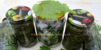 Frunze de Vita de Vie pentru Iarna – 4 Retete Pas cu Pas Frunze de Vita de Vie pentru Iarna - 4 Retete Pas cu Pas