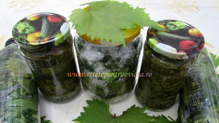 Frunze de Vita de Vie pentru Iarna - 4 Retete Pas cu Pas