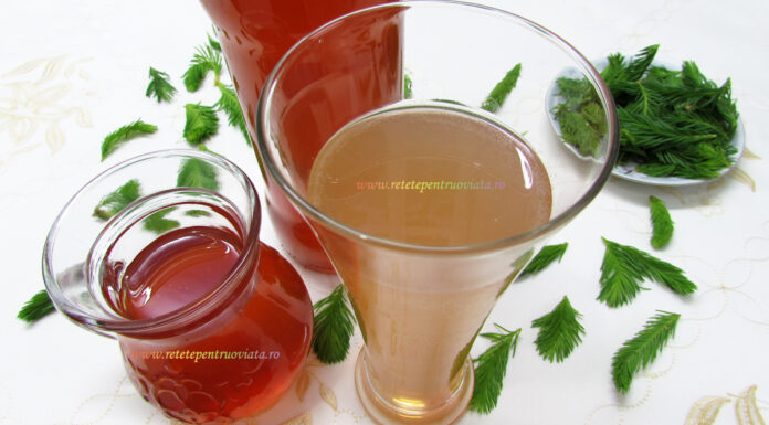 Sirop de Muguri de Brad – Sirop de Brad cu Lamaie Sirop de Muguri de Brad - Sirop de Brad cu Lamaie