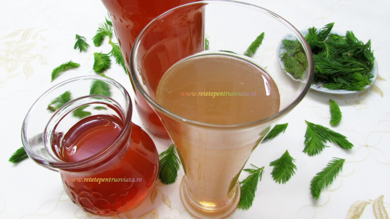 Sirop de Muguri de Brad - Sirop de Brad cu Lamaie