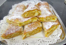 Placinte cu Dovleac si Aluat Fraged Placinte cu Dovleac si Aluat Fraged